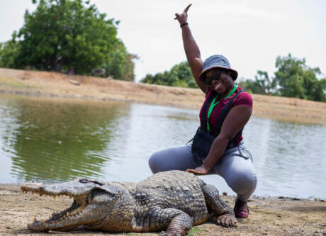 Crocodile scaled e1743276265422